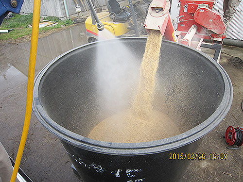 飼料米を粉砕し乳酸菌希釈水を加水